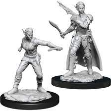 Shifter Rogue (Female) (90148)